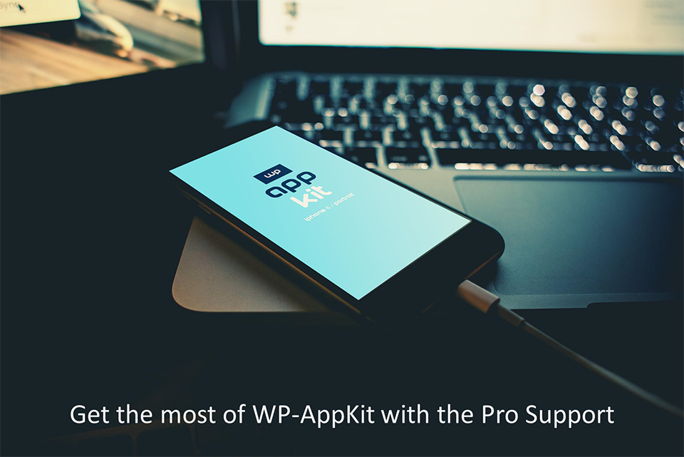 Pro Support Featured Image